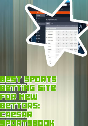 Best sports betting accounts